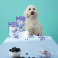 detail image5 Doggy University It's Goat! Blueberry